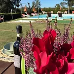 Alma Del - Charming Apartments- Il Carpignone La Pesta