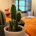 Lodge Alma Del - Charming Apartments- Il Carpignone *