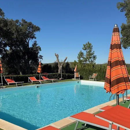 Alma Del - Charming *