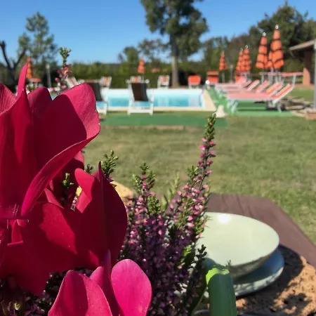 Alma Del - Charming La Pesta