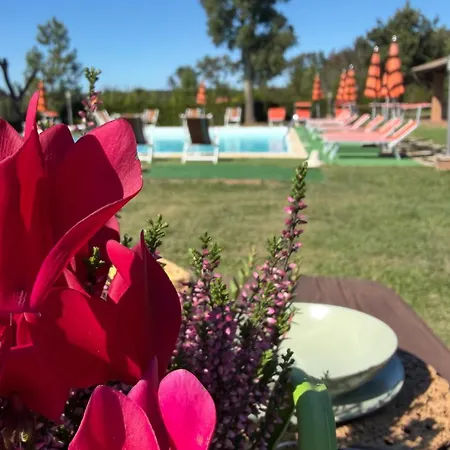 Alma Del - Charming Apartments- Il Carpignone *